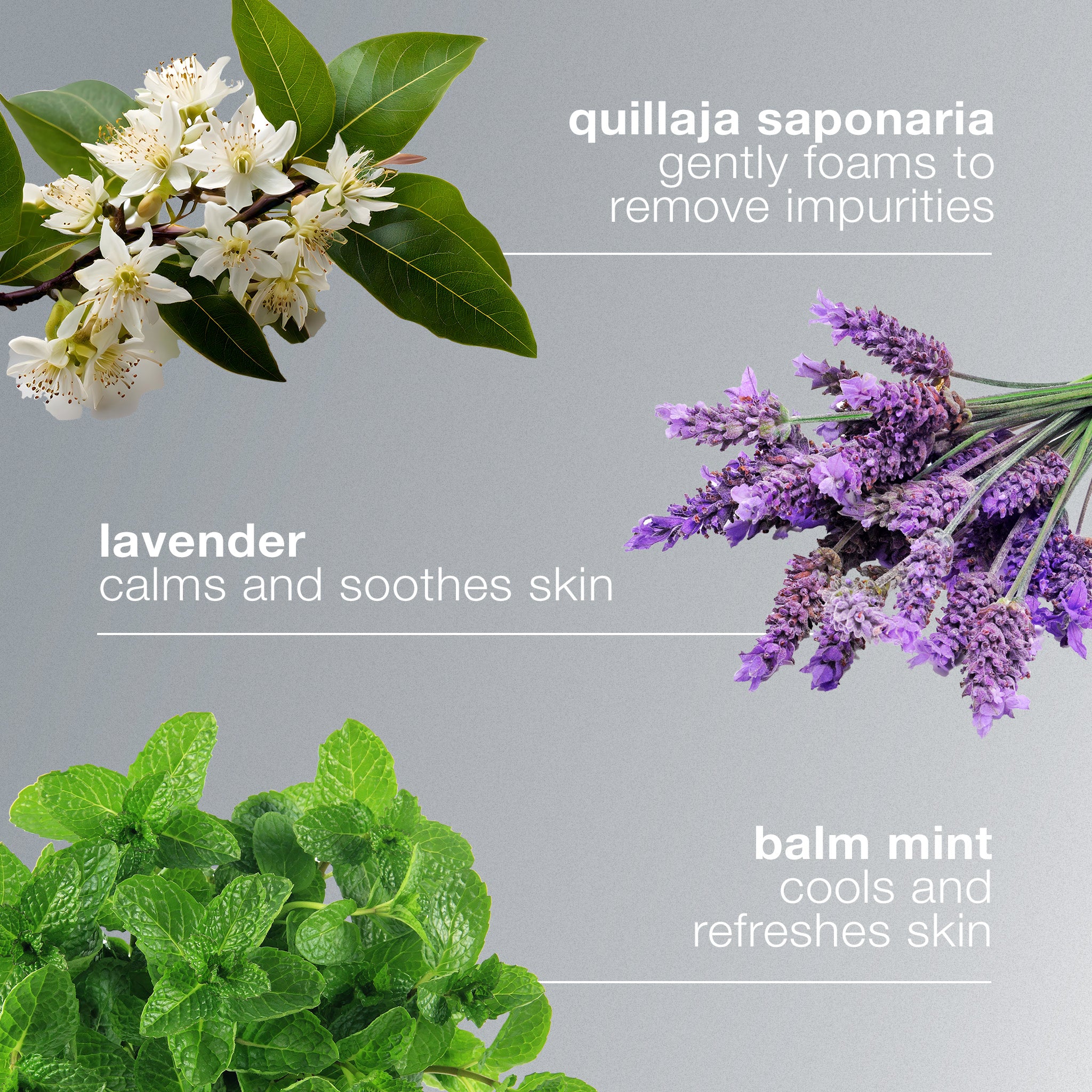 special cleansing gel - Image 3